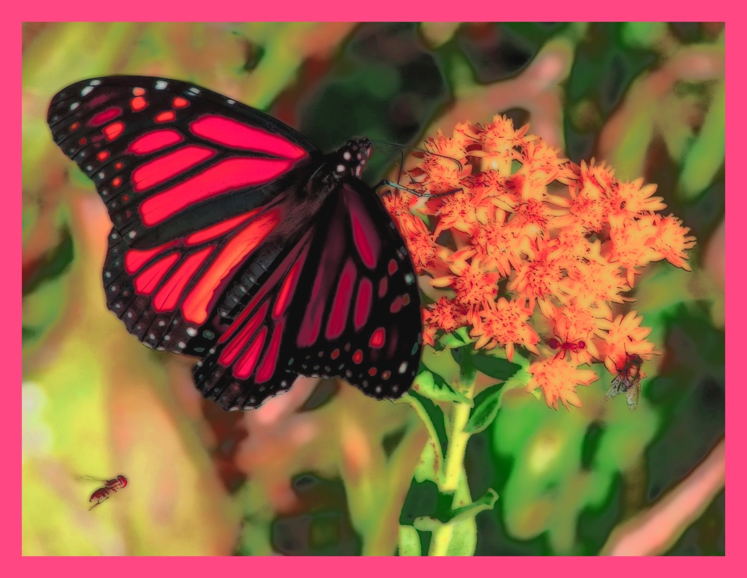 Mostly Fliers. (2) Photo by Thomas Peace c. 2015