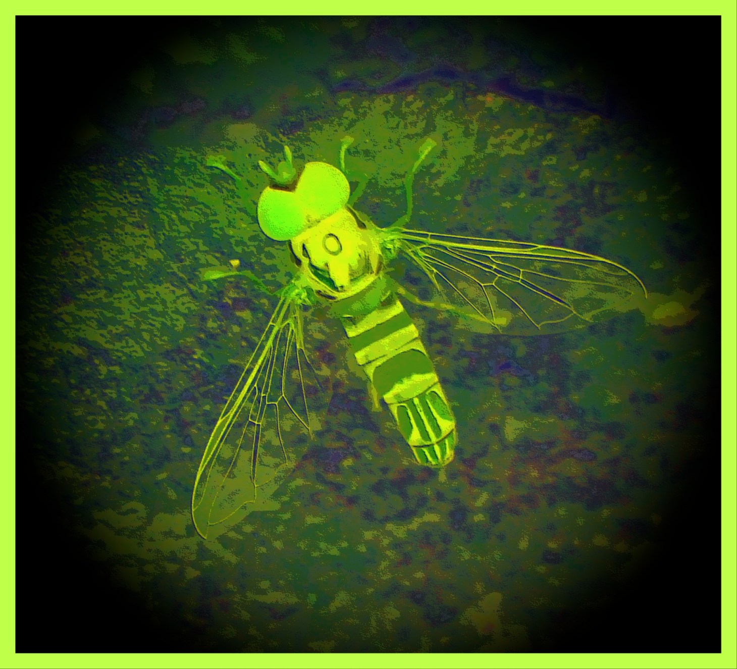 Beyond smoke. (2) Photo by Thomas Peace c. 2015