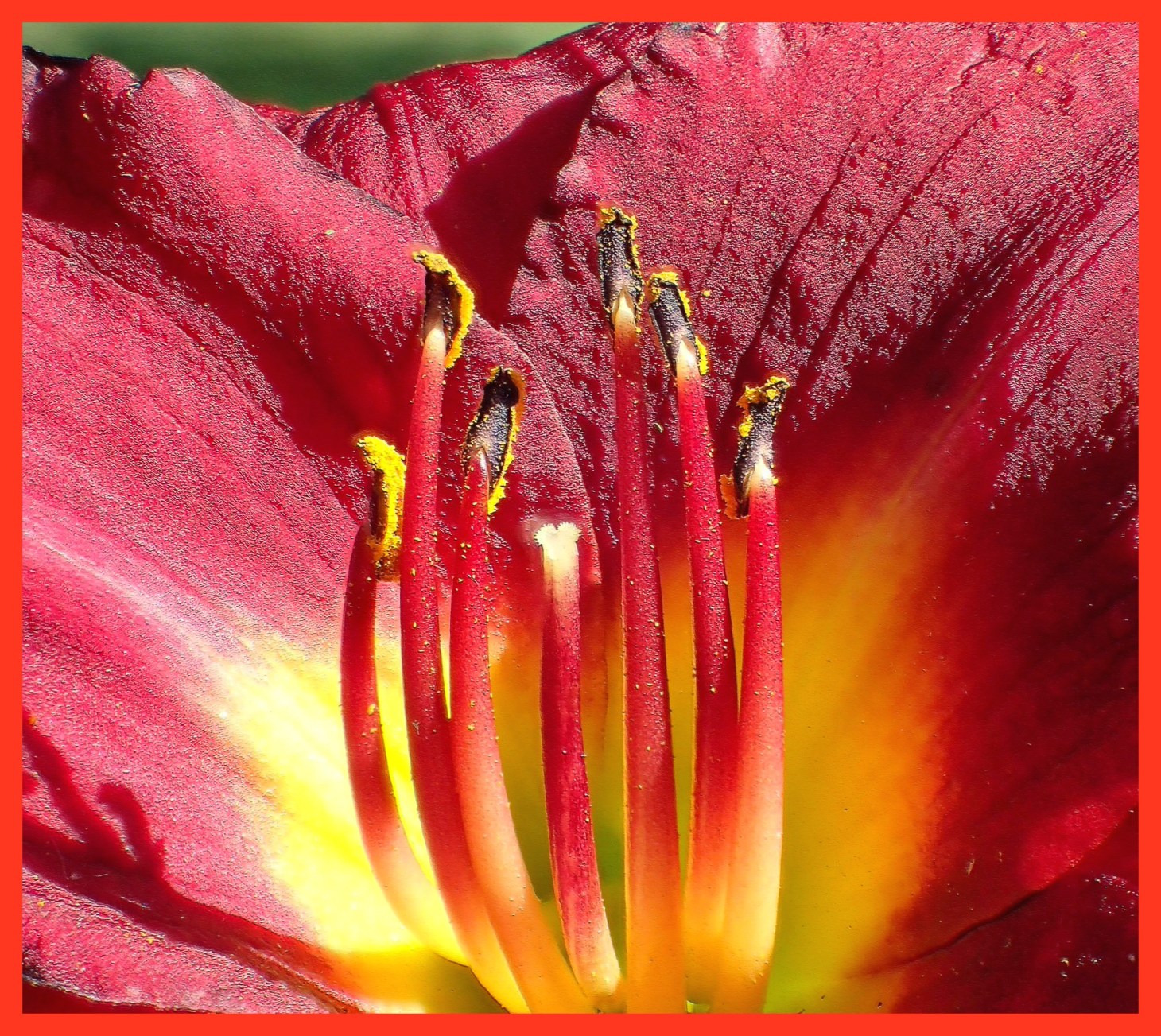 Beyond the stigma. Photo by Thomas Peace c. 2015