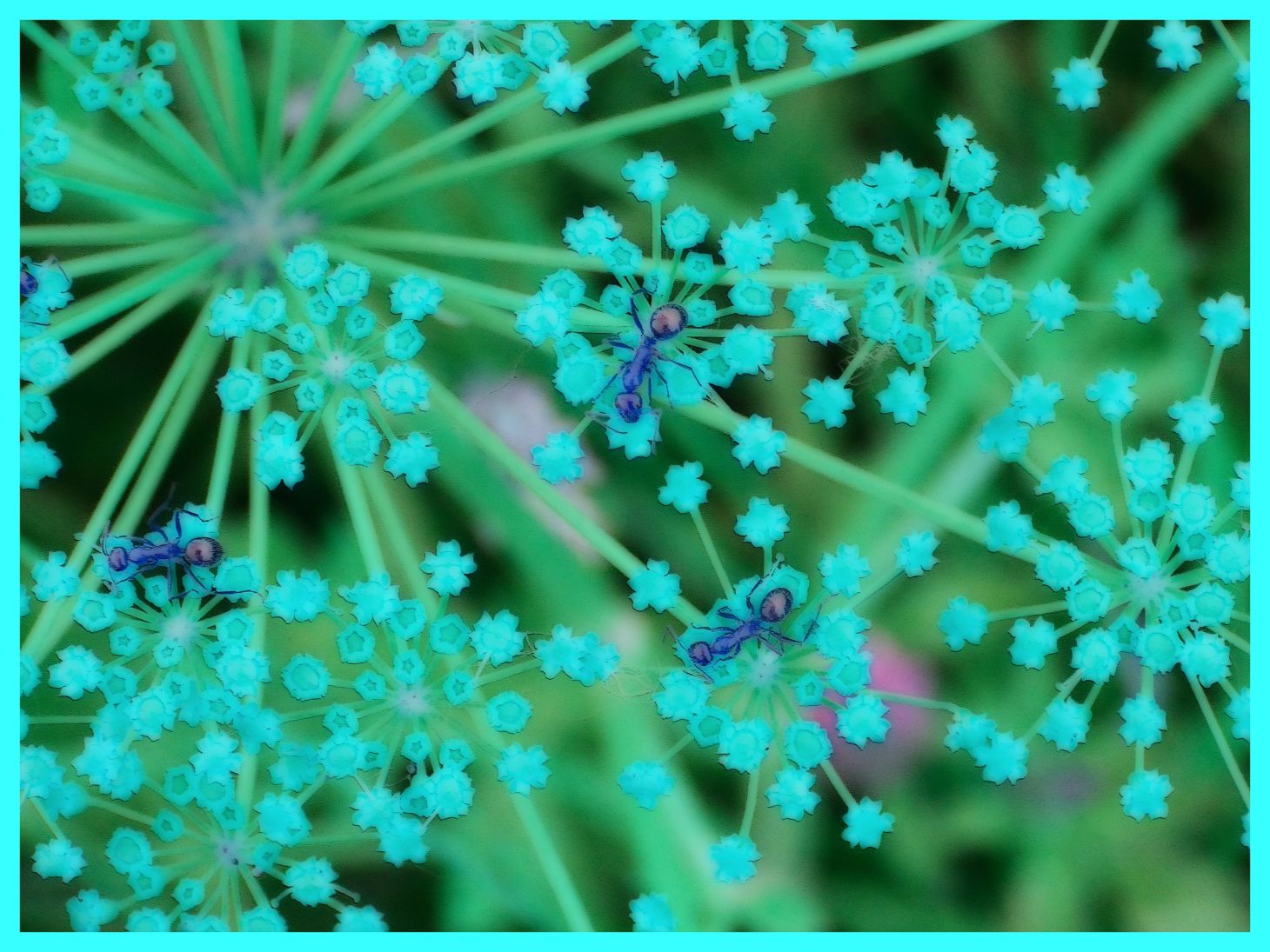 Stepping Stones (2). Photo by Thomas Peace c. 2015 