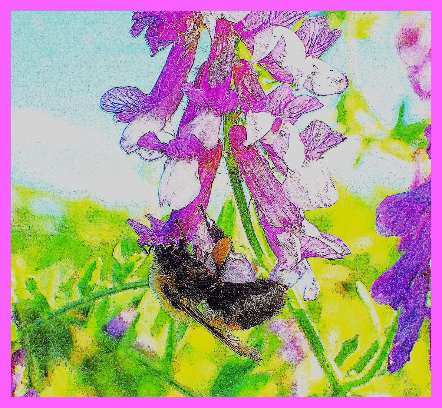 Topsy-turvy (2). Photo by Thomas Peace 2015