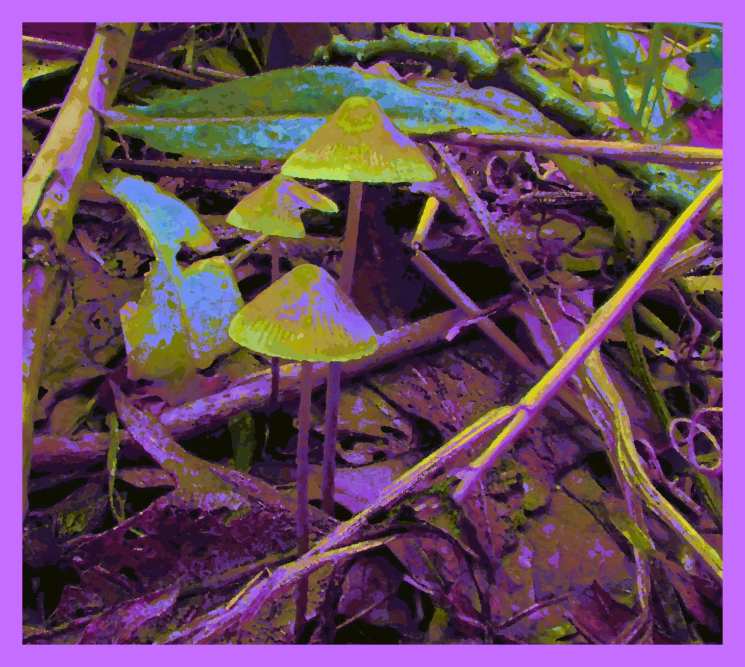 Together as one (2). Photo by Thomas Peace c. 2015