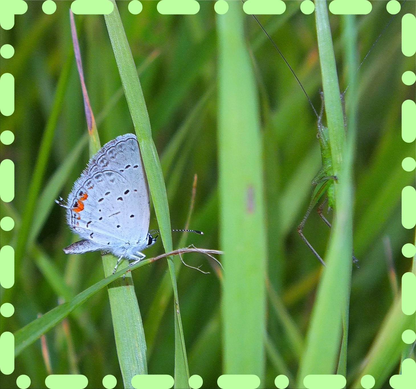 Together. (1) Photo by Thomas Peace c. 2015