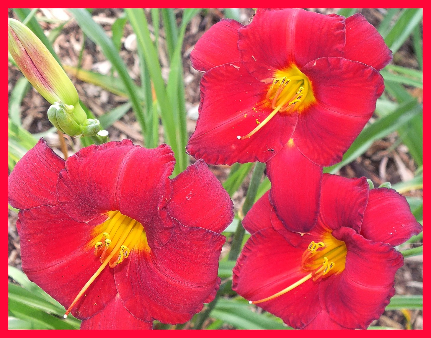 Not separate. Photo by Thomas Peace c. 2015