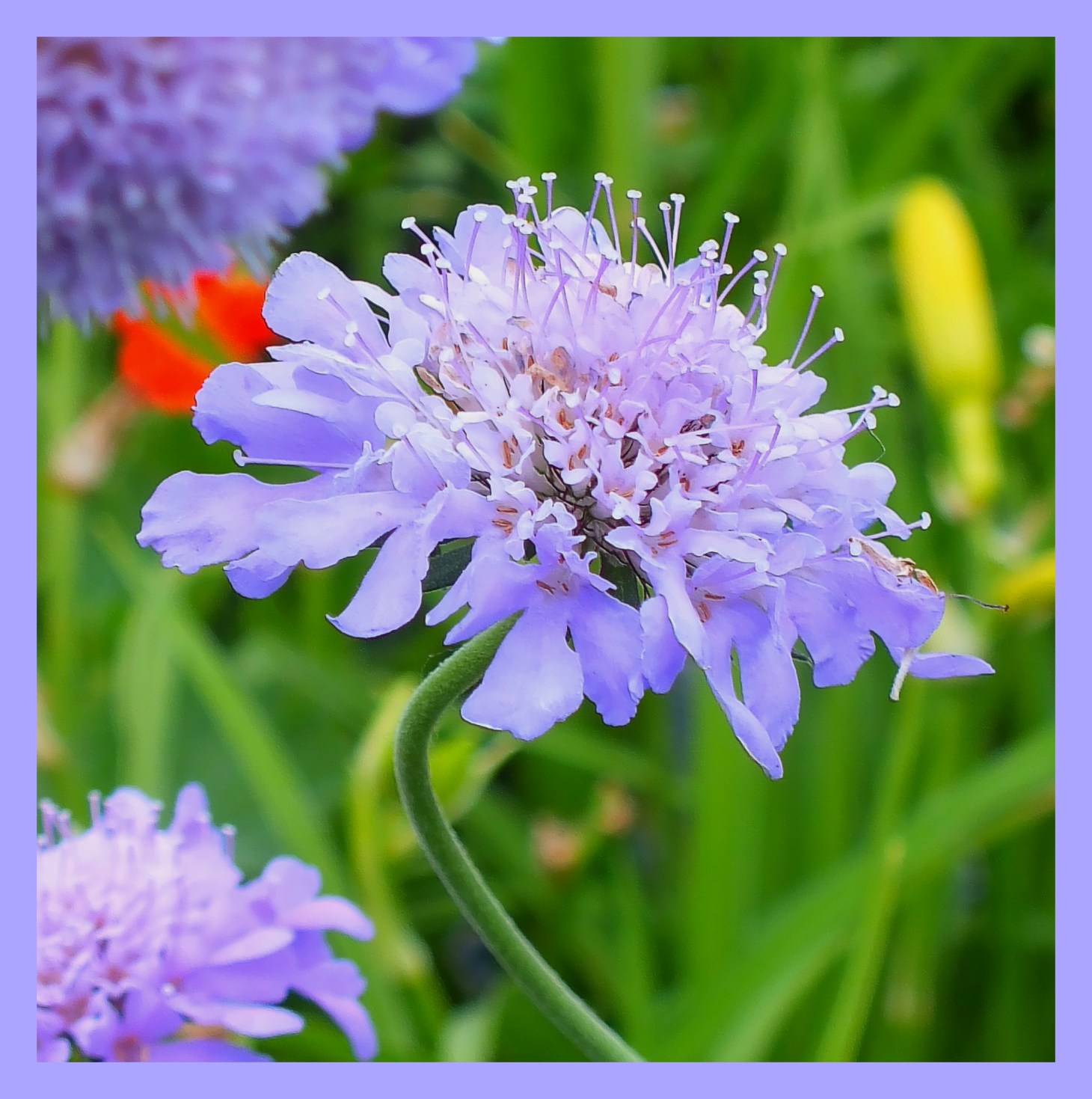 Open for business. (1) Photo by Thomas Peace c. 2015