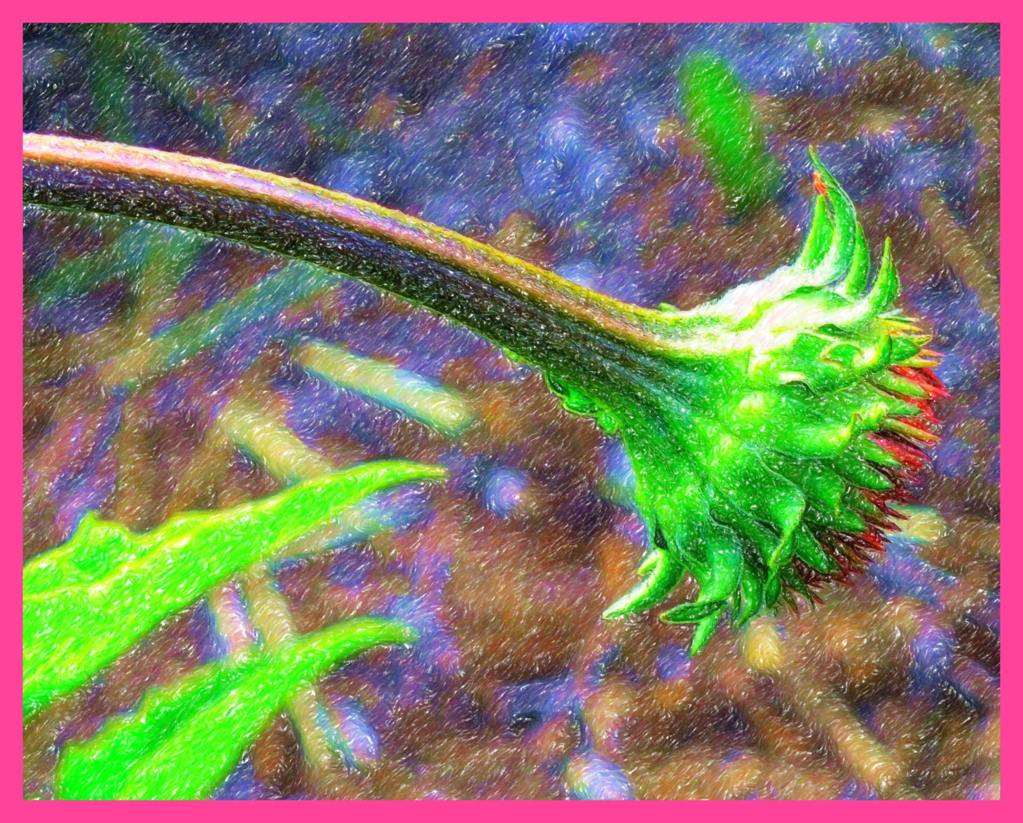 On its way. (2) Photo by Thomas Peace c. 2015