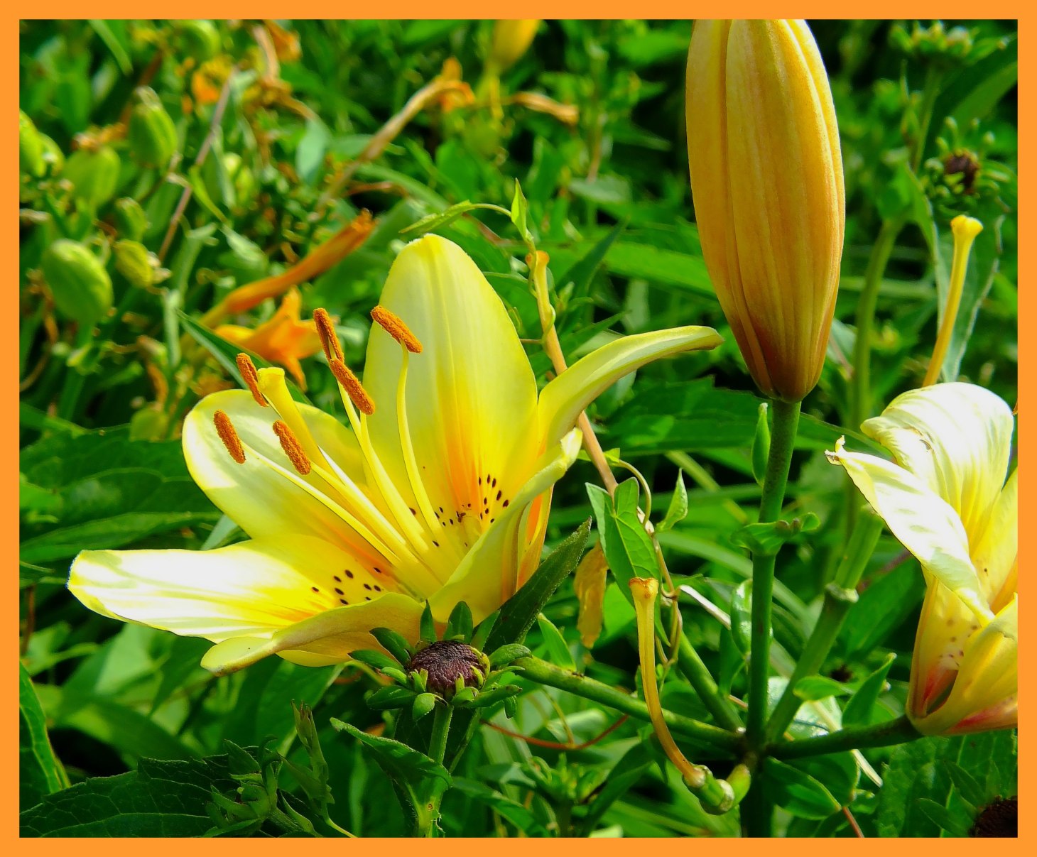 Open yourself. Photo by Thomas Peace c. 2015