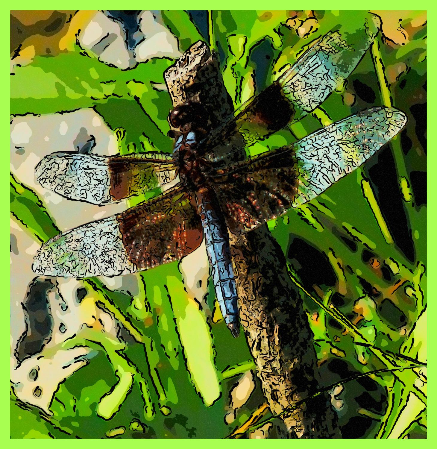 Dragon in his Lair. (2) Photo by Thomas Peace c. 2015