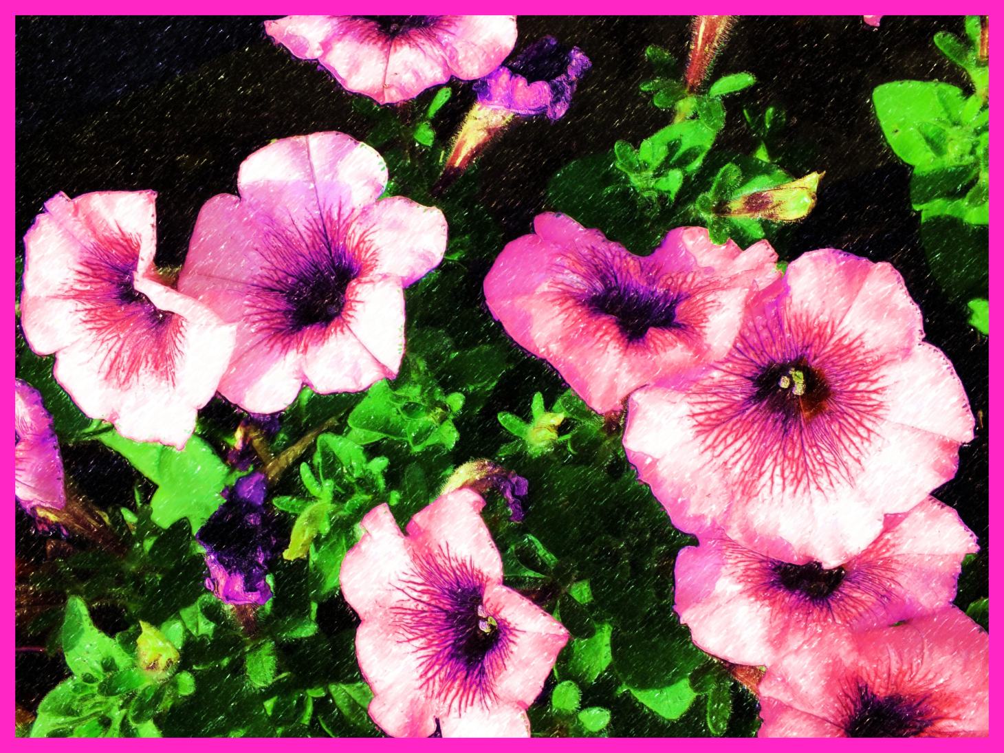 Together as one. (Color Pencil rendition). (2) Photo by Thomas Peace c. 2015