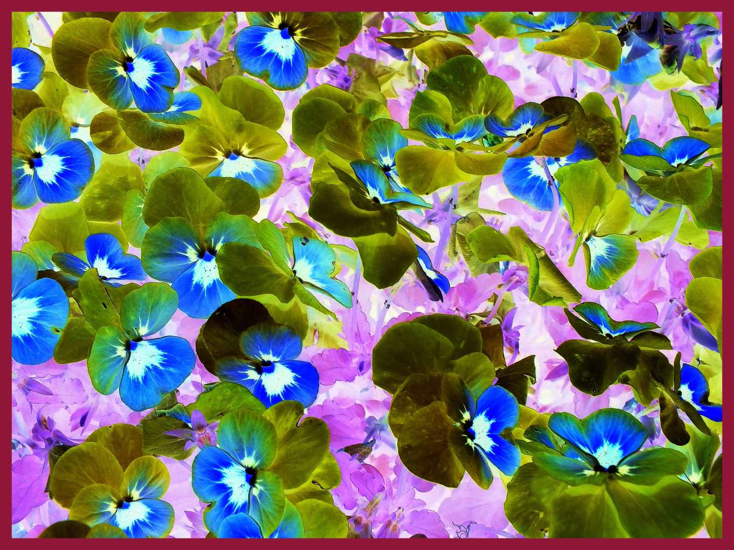 At the Edges. (2) Photo by Thomas Peace c. 2015