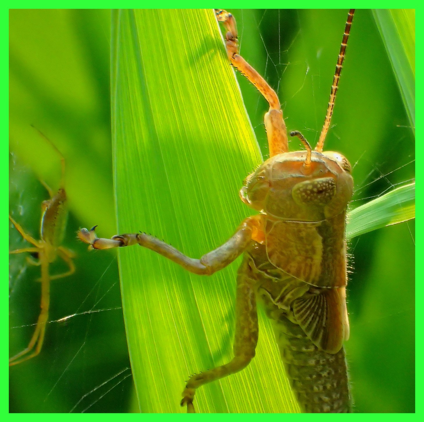 Shadow of thinking. Photo by Thomas Peace c. 2015