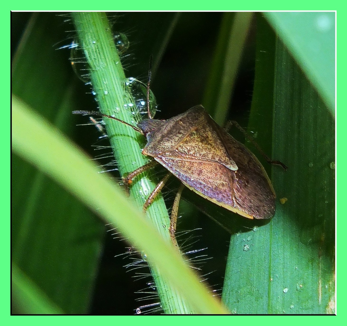 After a shower. (But showers can't clean up everything.) Photo by Thomas Peace c. 2015