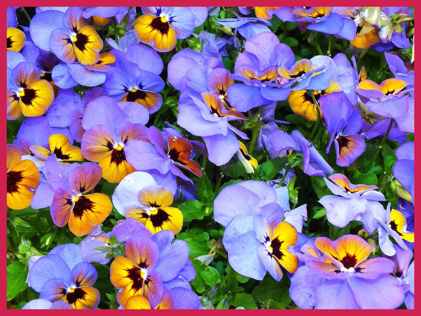 At the Edges. (1) Photo by Thomas Peace c. 2015