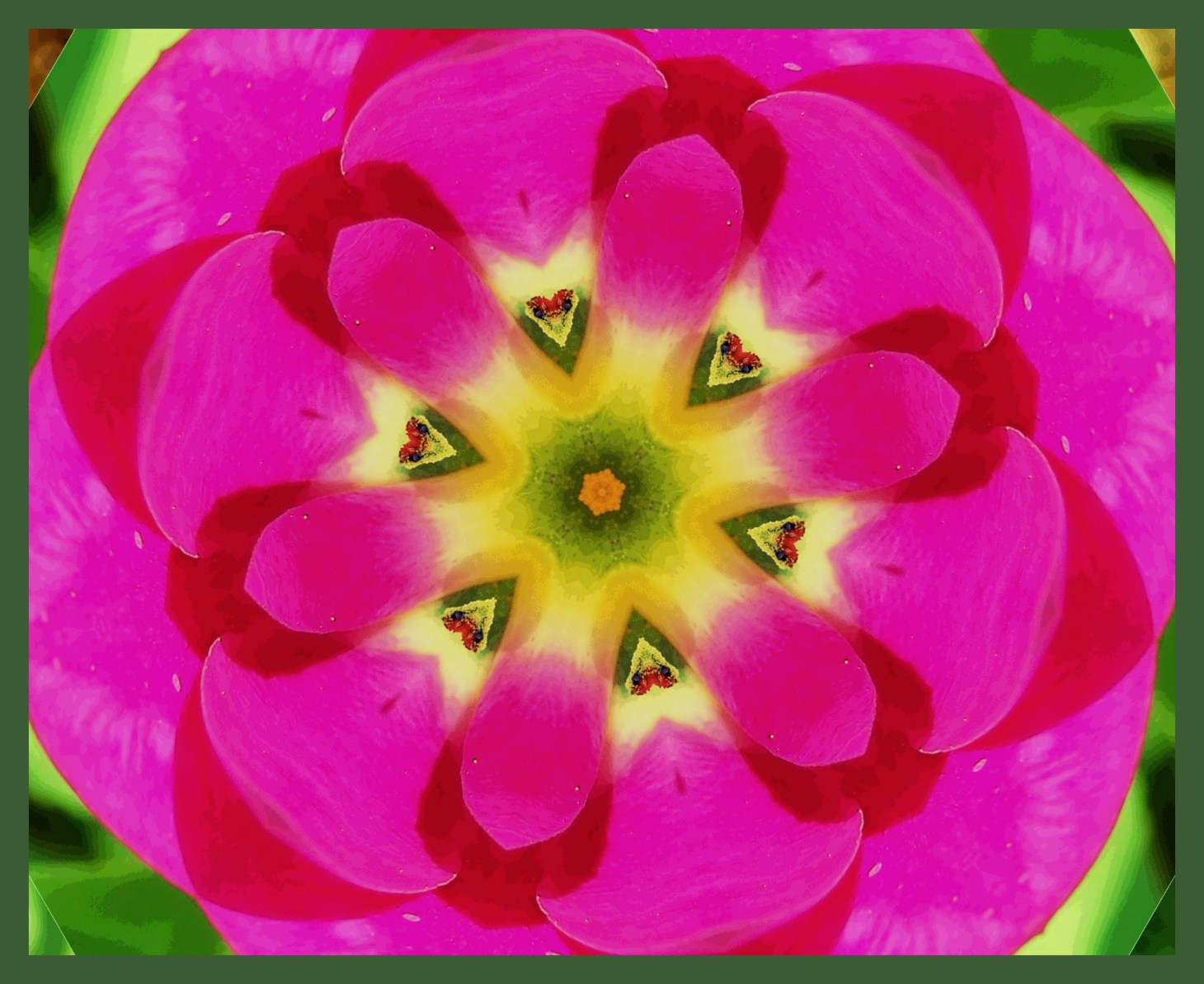 Pistil, Stamen, Petals. (2) Photo by Thomas Peace c. 2015