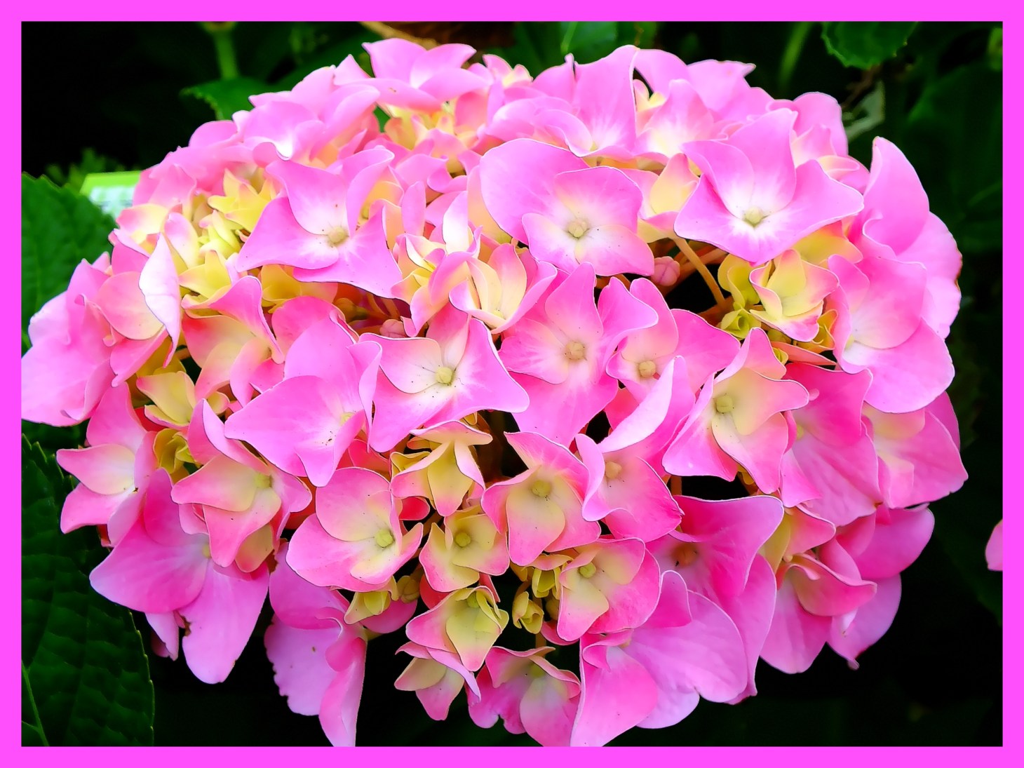 Photo by Thomas Peace c. 2015