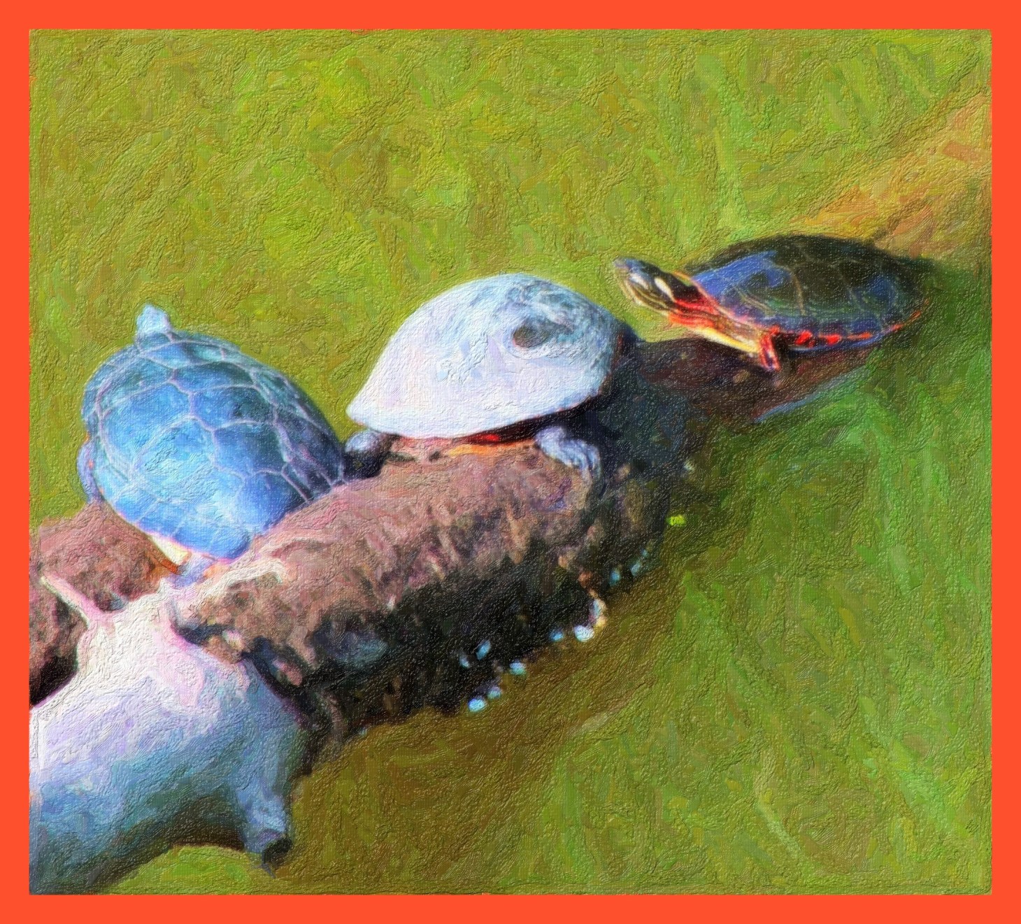 Sunbathing (2). Photo by Thomas Peace c. 2015 