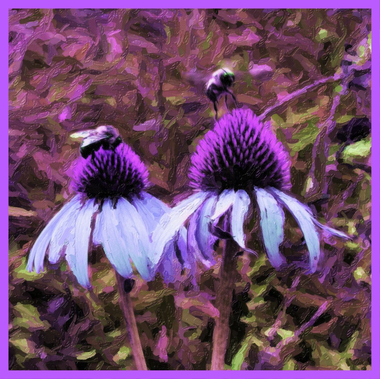 Taking off time. (2) Photo by Thomas Peace c. 2015