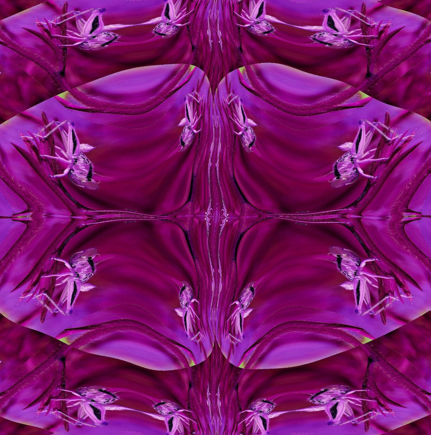 Empty Exoskeleton of a Grasshopper (2) Photo by Thomas Peace c. 2015