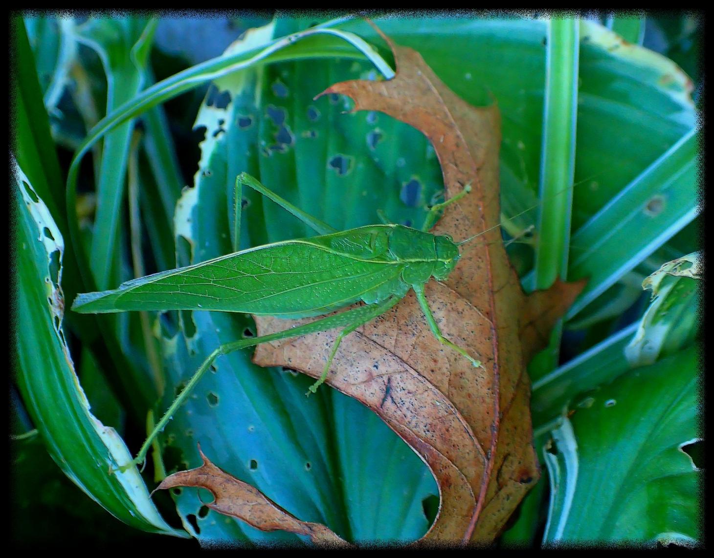 At the fall of one's life. Photo by Thomas Peace c. 2015