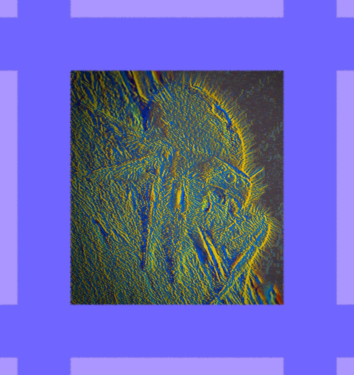 Watching (2). Photo by Thomas Peace c. 2015