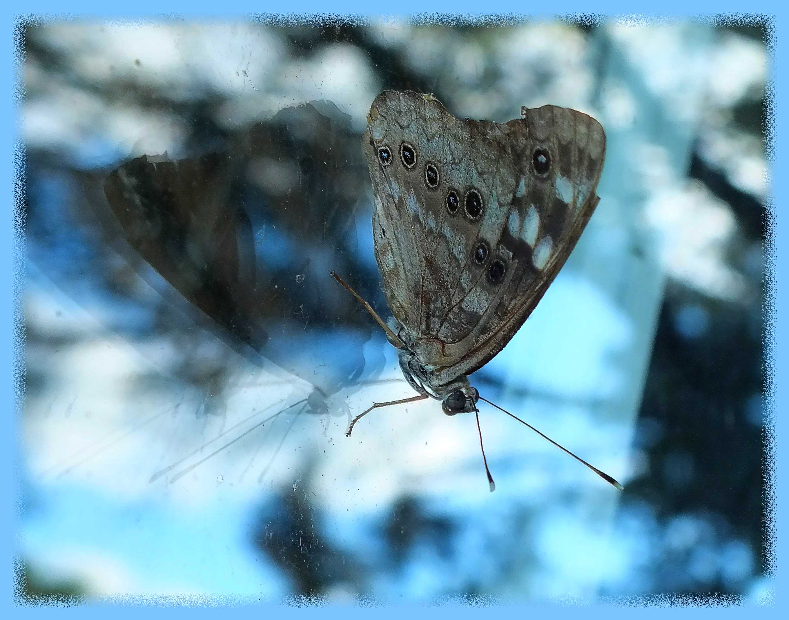 Matter...Anti-matter. (1) Photo by Thomas Peace c. 2015