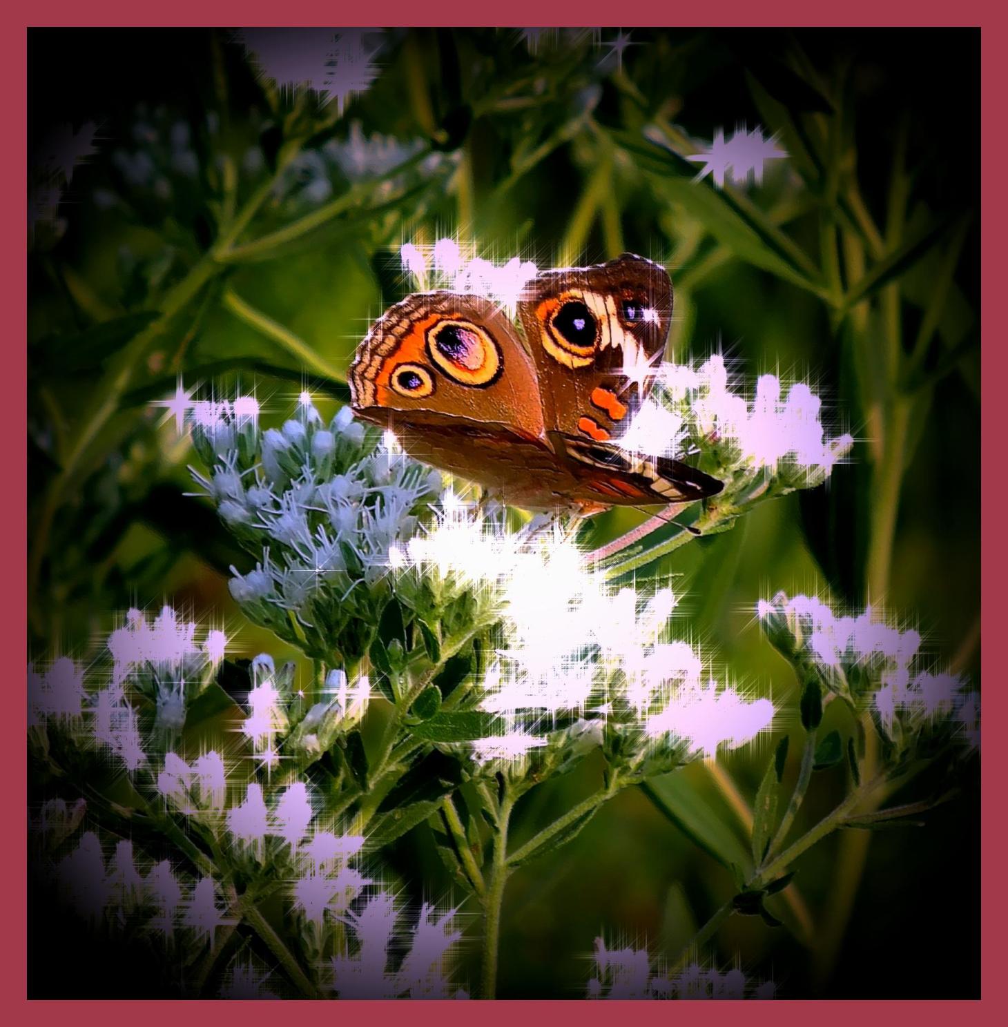 Eye 2 Eye. (2) Photo by Thomas Peace c. 2015