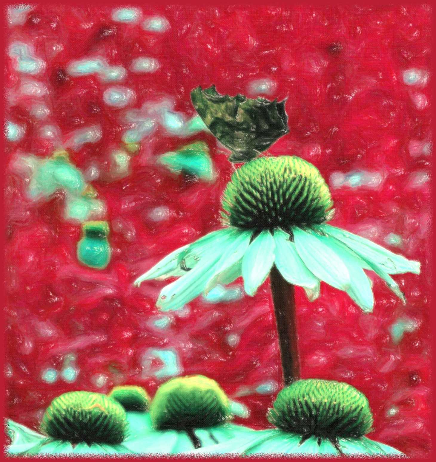 Insect wings (2) Photo by Thomas Peace c. 2015