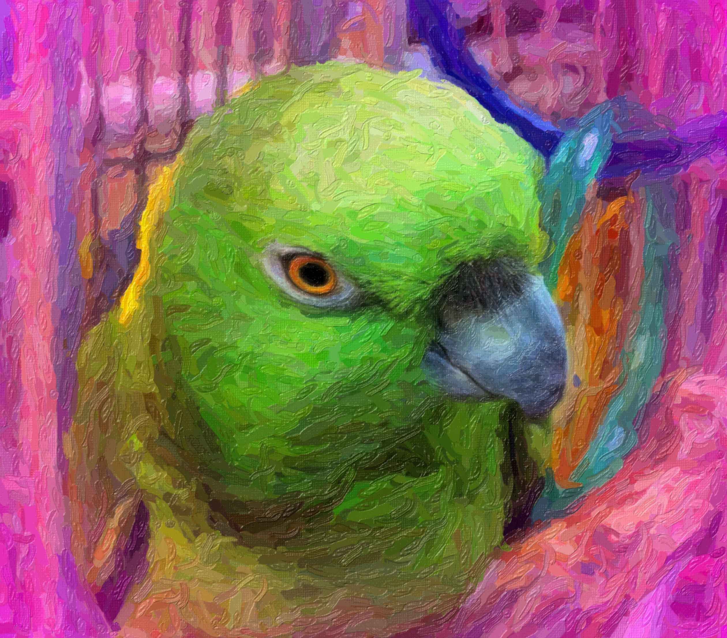 Tweetie Pie (2) Photo by Thomas Peace c. 2015 