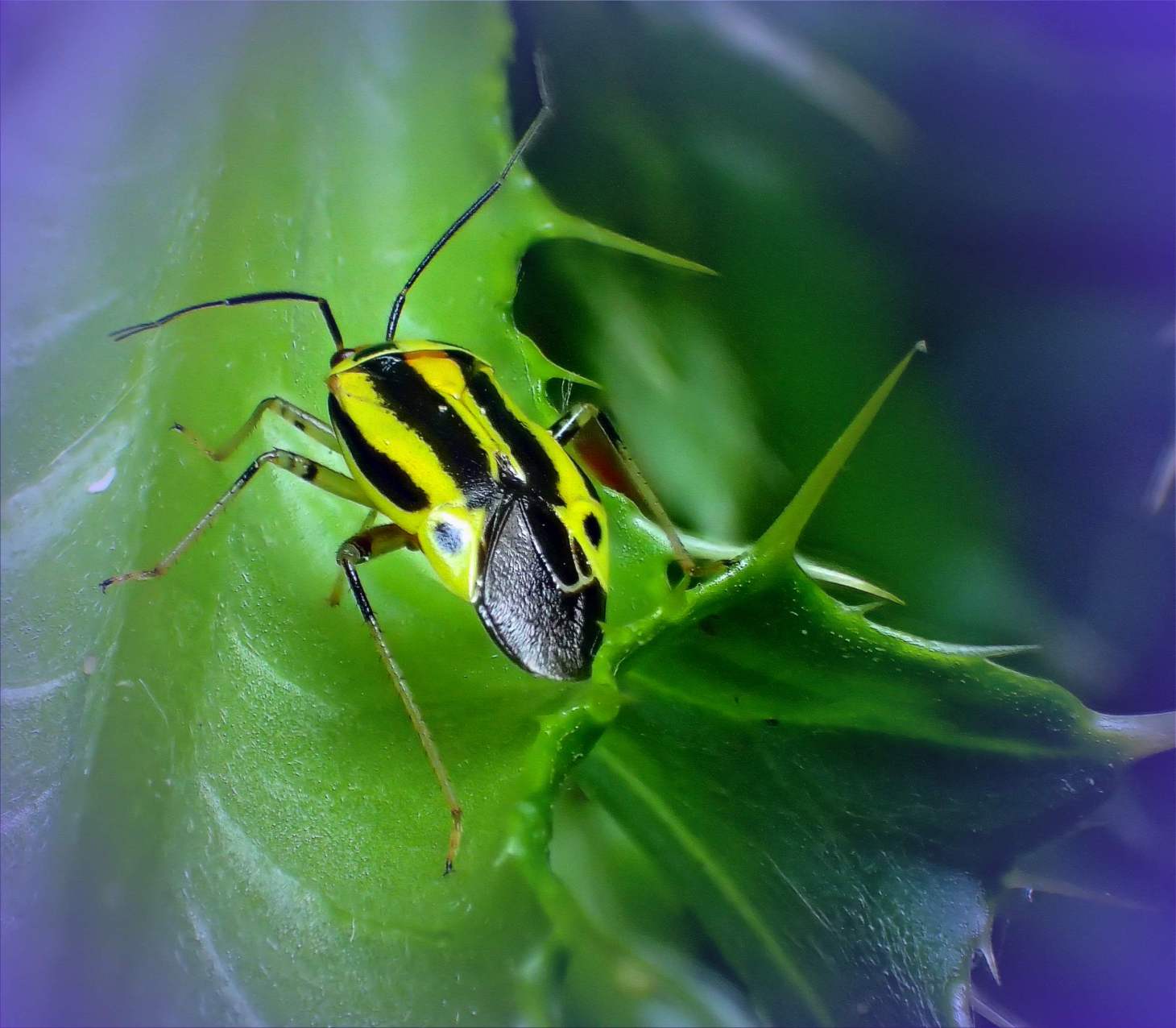 Moving to a sense of proportion. Photo by Thomas Peace c. 2015