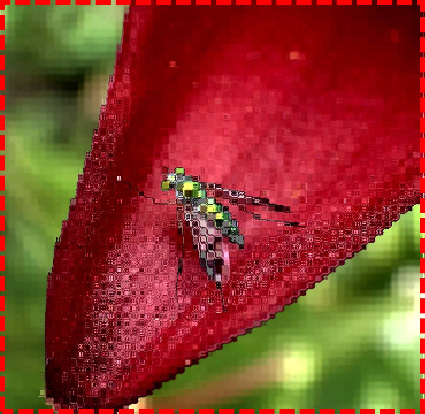 Beyond their weighty burden (2) Photo by Thomas Peace c.2015