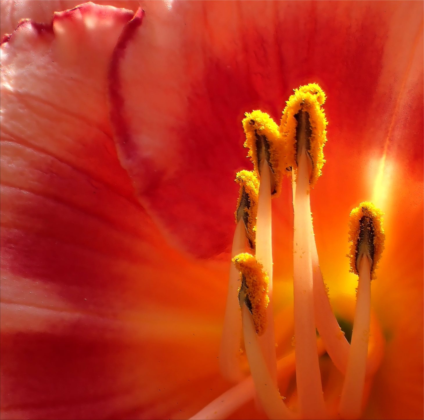 Projections (1) Photo by Thomas Peace c. 2015