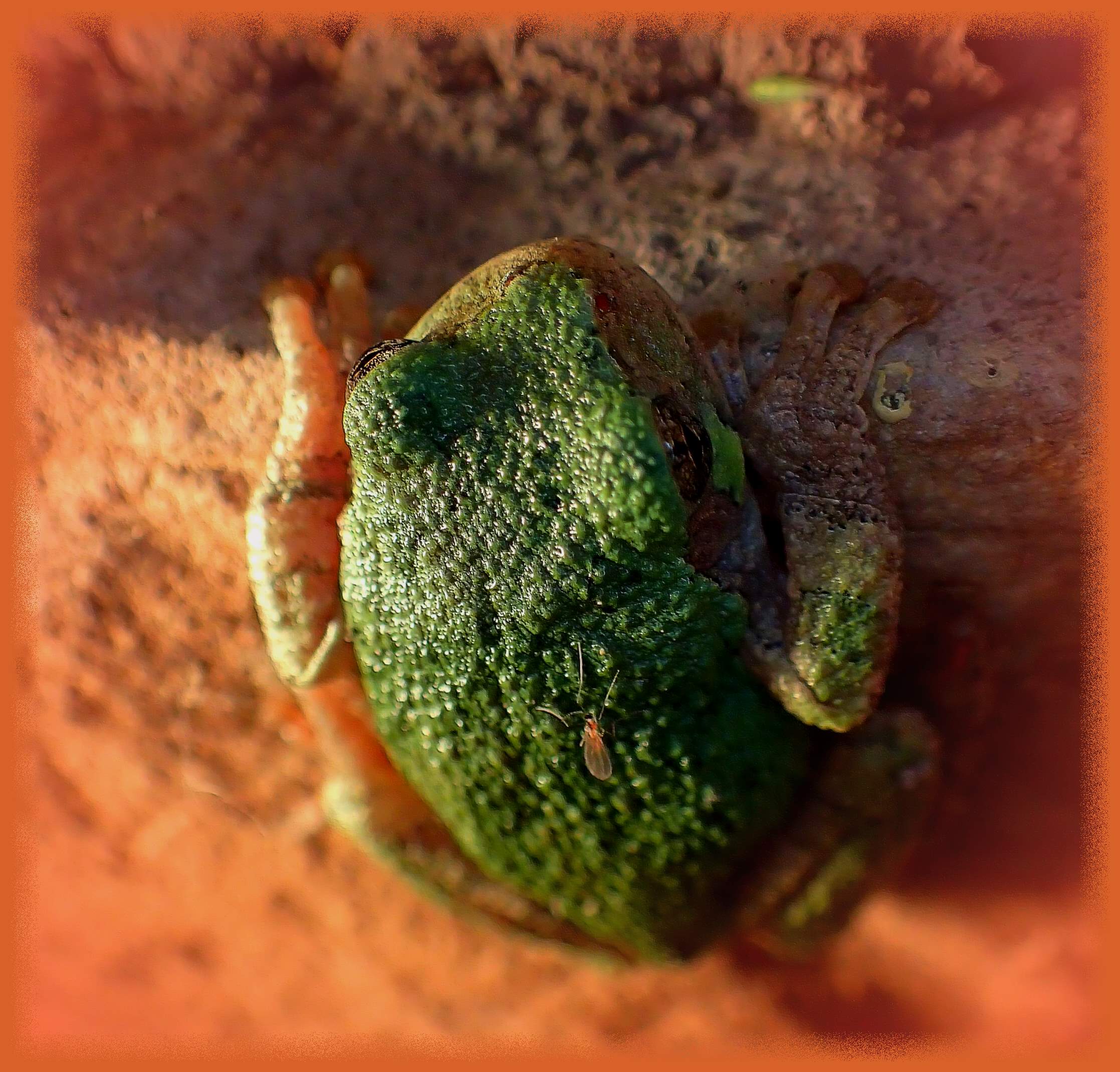 Defying gravity. Photo by Thomas Peace c. 2016