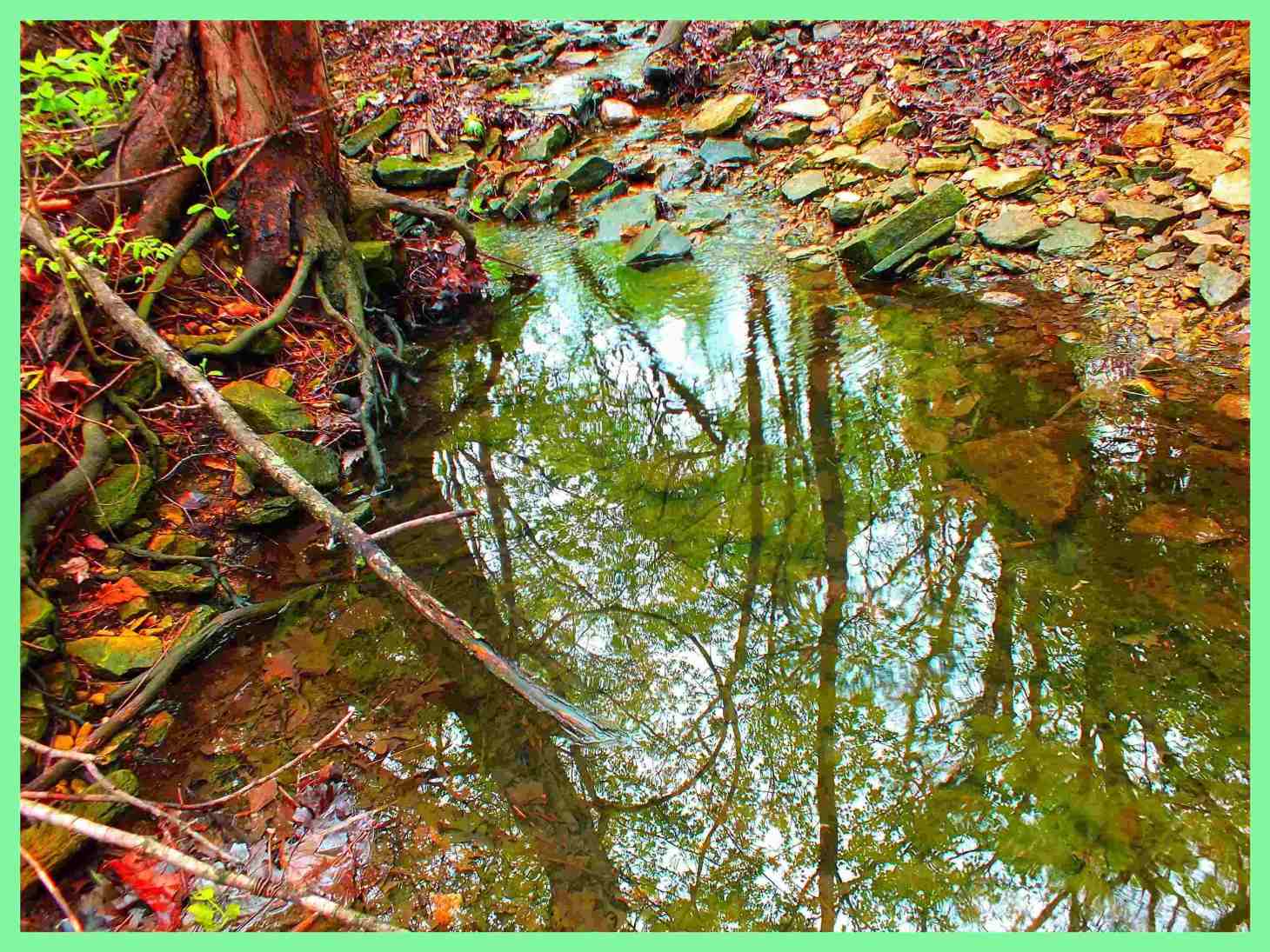 Mixed in the mud. Photo by Thomas Peace c. 2016