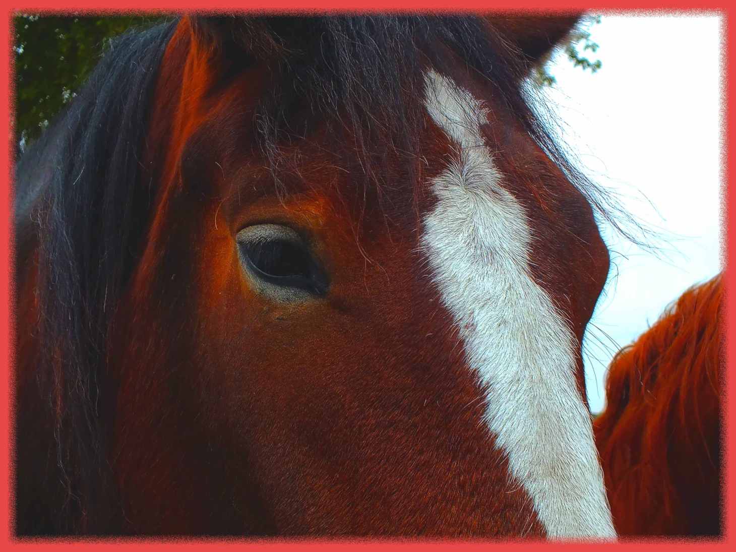 Up close and personal. (1) Photo by Thomas Peace c. 2016