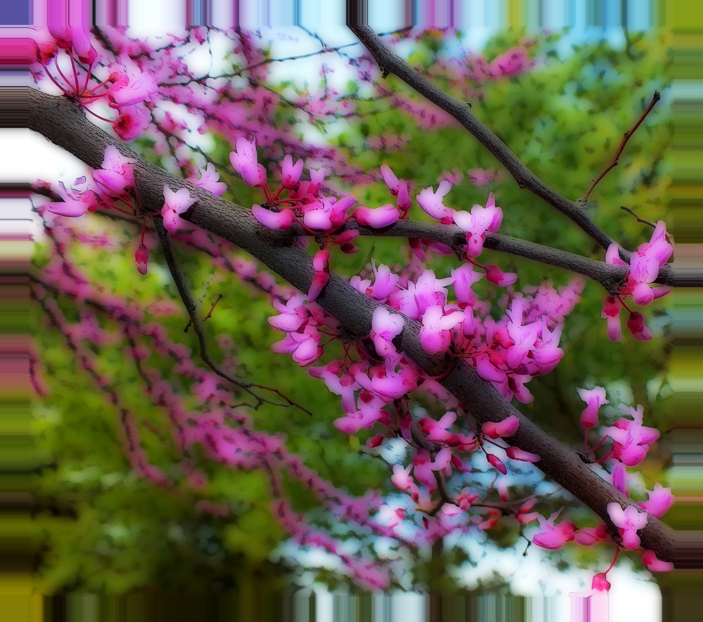 Eternally flowing. (2) Photo by Thomas Peace c. 2016 