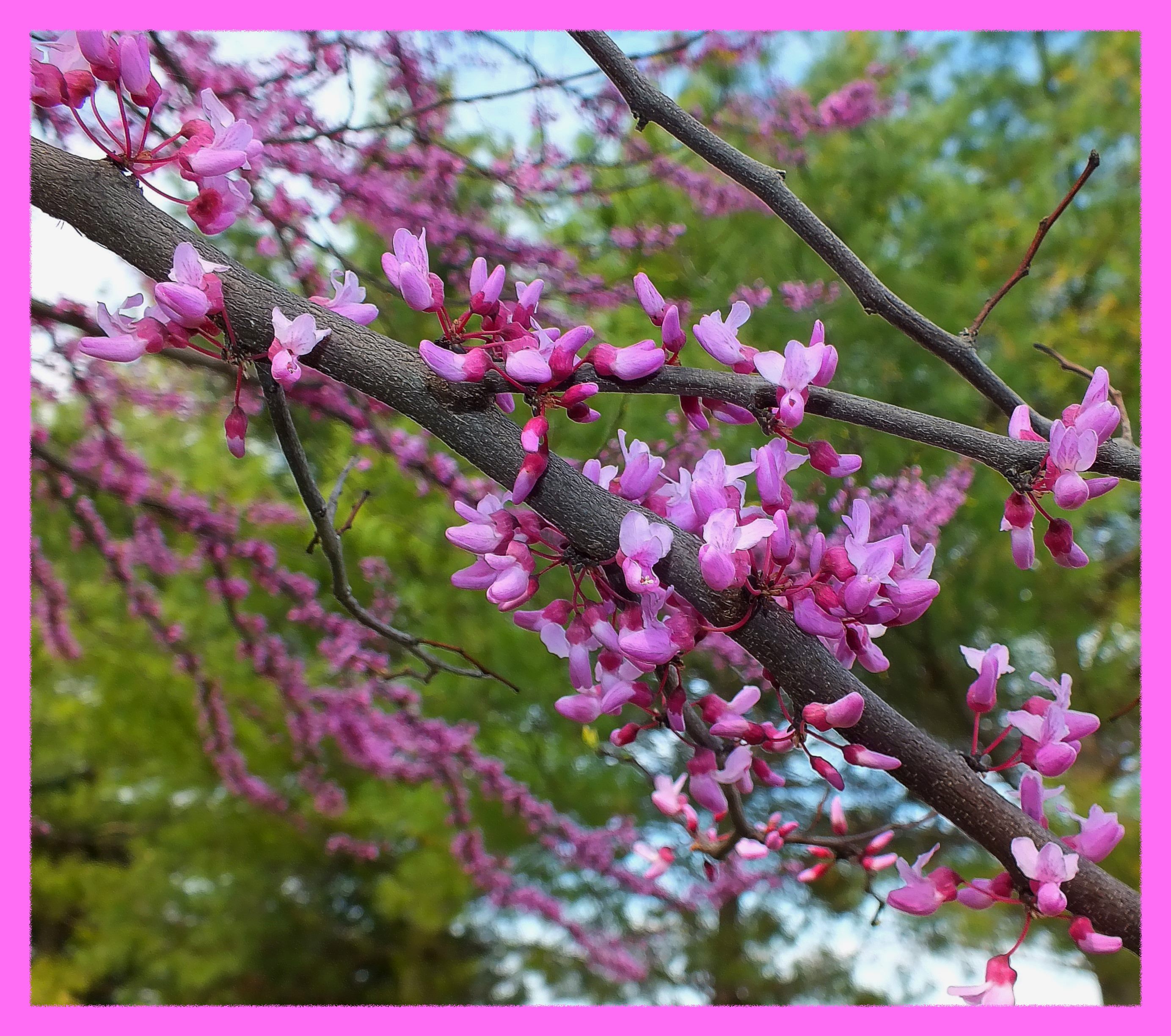 Eternally flowing. (1) Photo by Thomas Peace c. 2016 