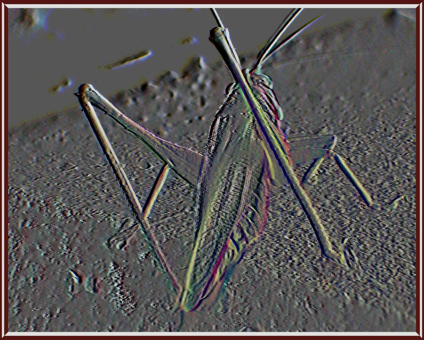 Limited Space (2) Photo by Thomas Peace c. 2016