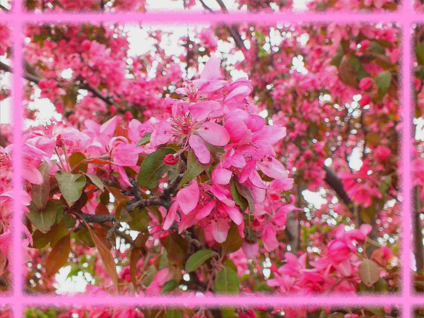 Spring flowing. Photo by Thomas Peace c. 2016