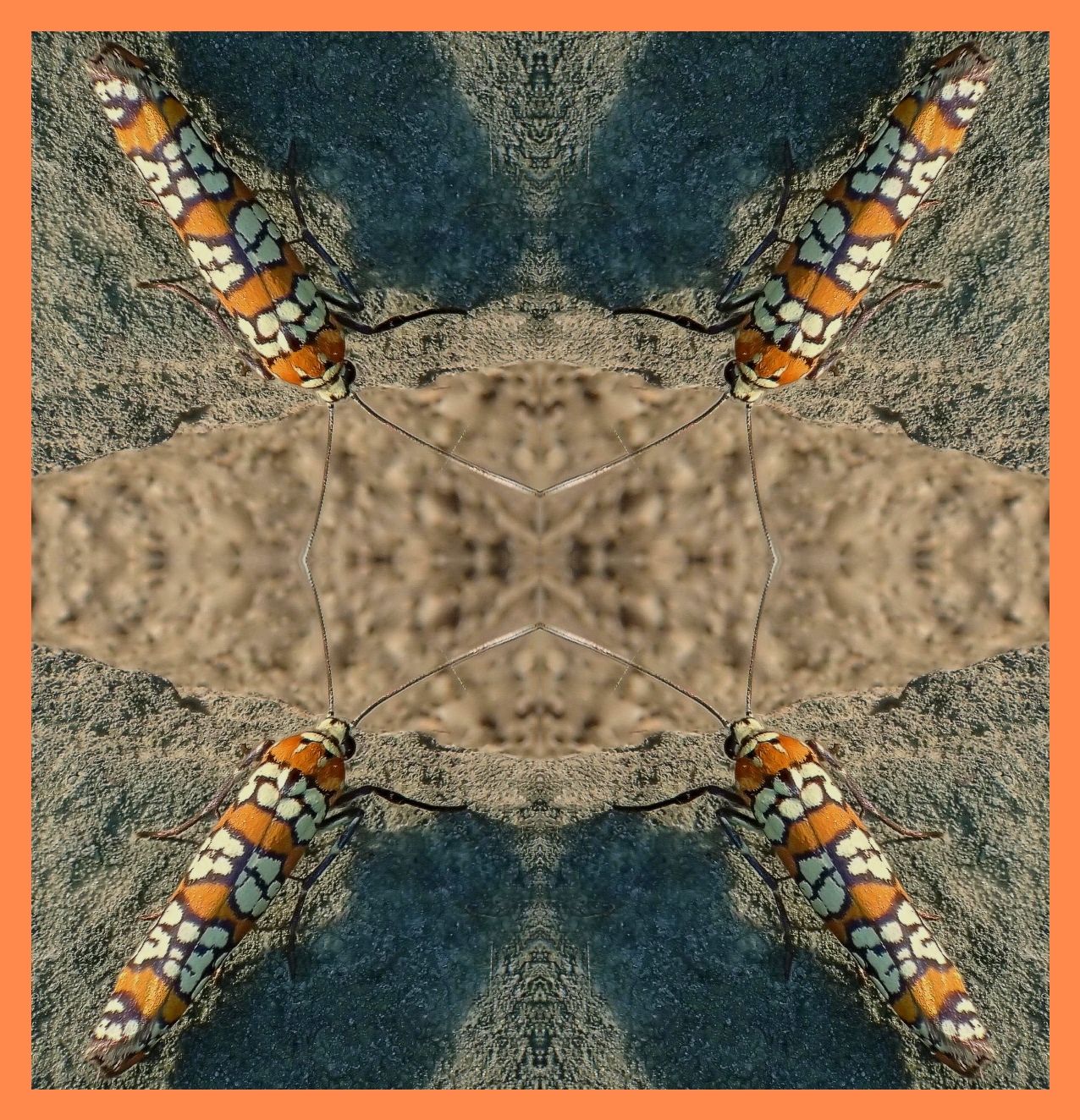 Ailanthus. (2) Photo by Thomas Peace c. 2016