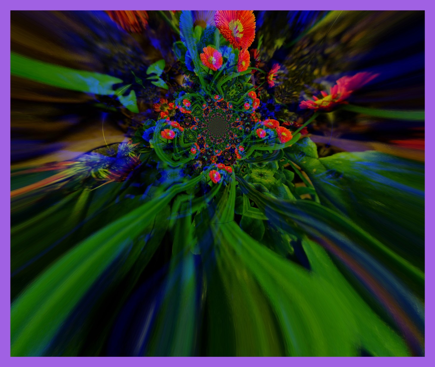 Bellis Perennial... Through the Looking Glass Version. (2) Photo by Thomas Peace c. 2016