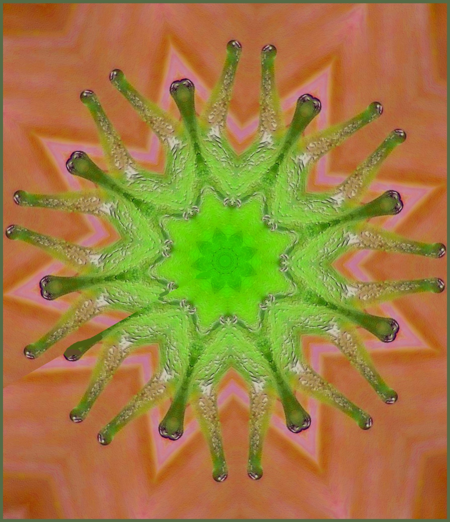 Feeling Slowly (2). Photo by Thomas Peace c. 2016