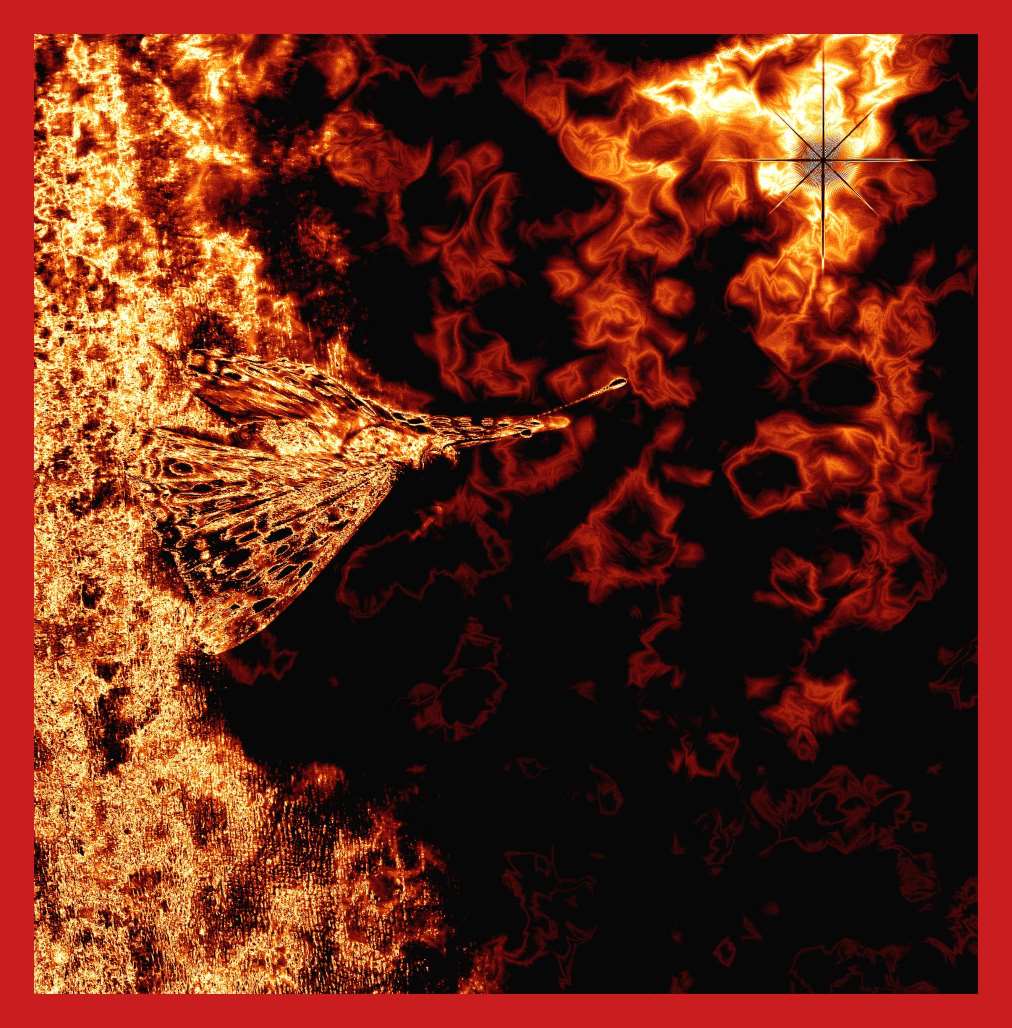 Ready to launch (2) Photo by Thomas Peace c. 2016 