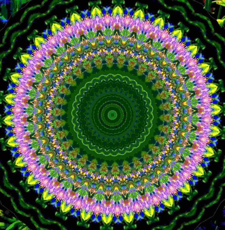 Bursting (2) Photo by Thomas Peace c. 2016