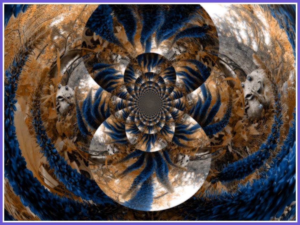 Purple Veronica (2) . Photo by Thomas Peace c. 2016