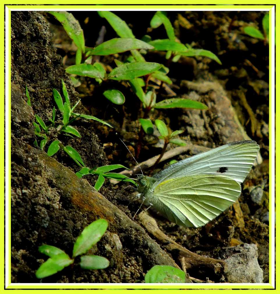 Exploring. Photo by Thomas Peace c. 2016
