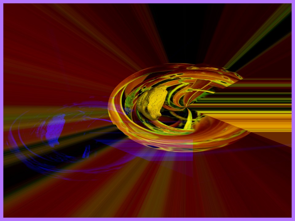 Resting in the holographic universe. (2) Photo by Thomas Peace c. 2016