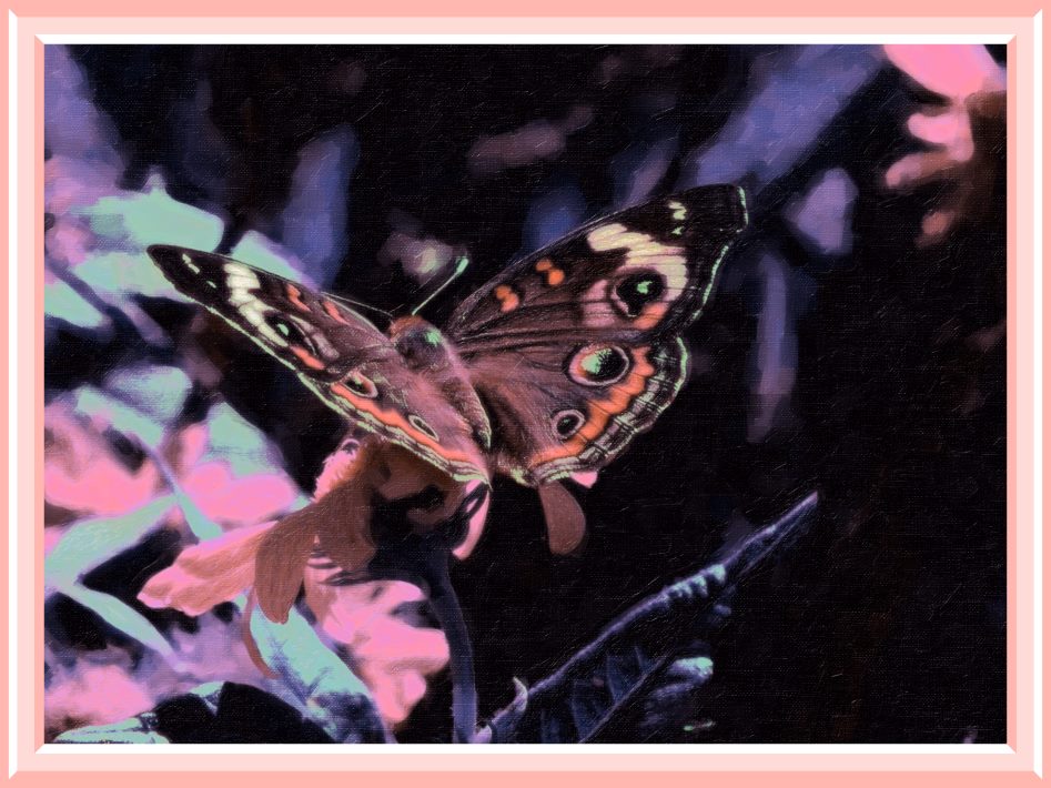 We are each other (2) Photo by Thomas Peace c. 2016