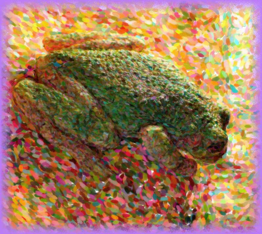 Looking Downward (2) Photo by Thomas Peace c. 2016