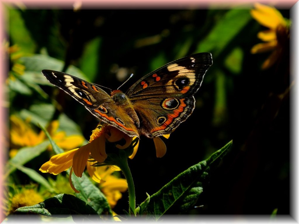 We are each other (1) Photo by Thomas Peace c. 2016