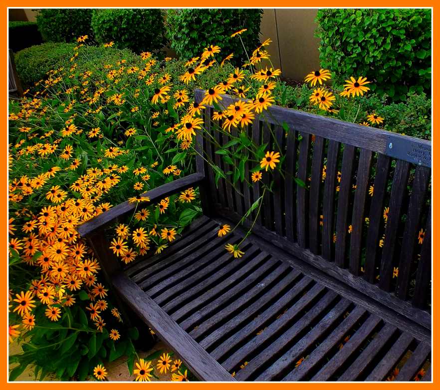 Beyond the Sedentary Way. (1) Photo by Thomas Peace c. 2016